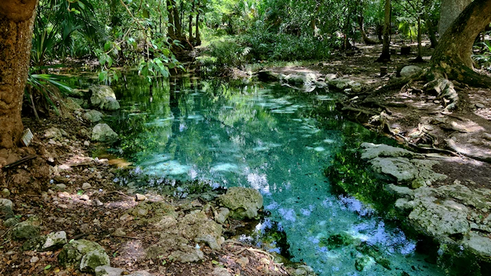Playas cenotes rios lagunas manantiales en Campeche