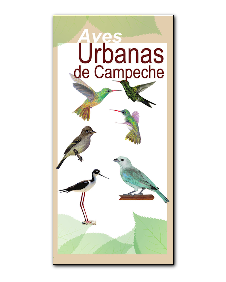 Portada Aves Urbanas de Campeche