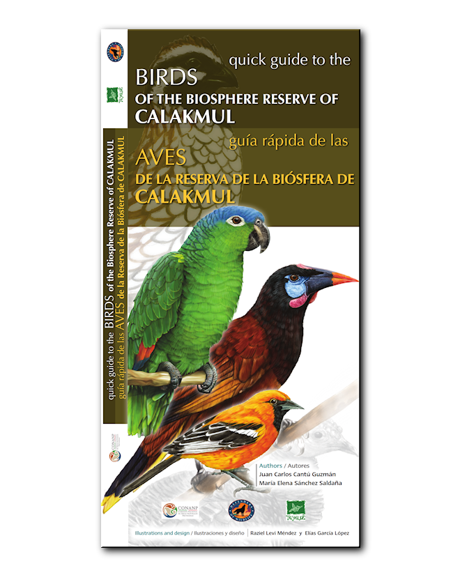 Portada Aves de la Biosfera de Calakmul