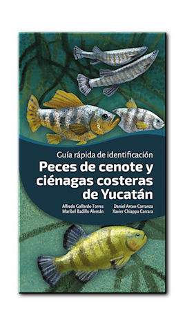 Peces de Cenote y Costeros de Yucatan